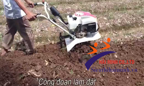 Máy làm đất đa năng Trâu Vàng IN-1WG4